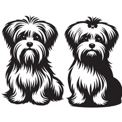 Maltese dog silhouette in black color.