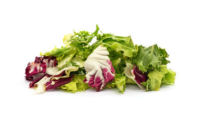 Set of pieces of salad leaves.