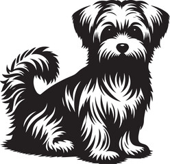 Maltese dog silhouette in black color.