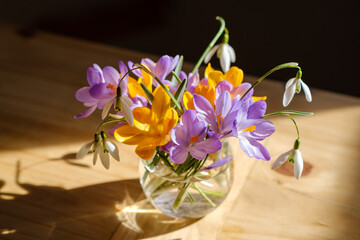 Bouquet of purple crocus in vase. Spring flowers in a vase. - 731687037
