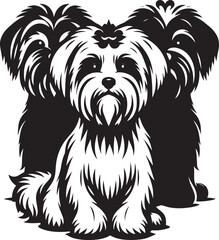 Maltese dog silhouette in black color.