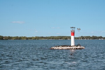Light tower with birds surrounding it against the backdrop of a tranquil body of water.