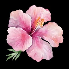 AI generated illustration of a beautiful watercolor pink hibiscus flower on a black background