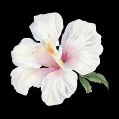 Obraz na płótnie Canvas AI generated illustration of a beautiful watercolor white hibiscus flower on a black background