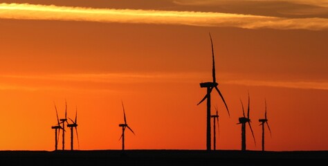 Obraz premium Stunning sunrise illuminates a landscape featuring a line of windmills near a coastal area