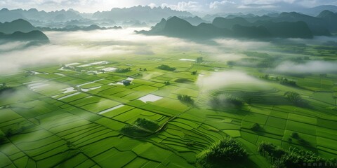 The Breathtaking Beauty of Rice Terraces in the Early Morning Mist, Generative AI