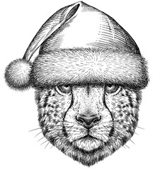 Vintage engraving isolated leopard set panther dressed christmas illustration ink santa costume sketch. Africa wild cat cheetah background jaguar animal silhouette new year hat art. Hand drawn image