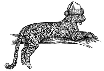 Vintage engraving isolated leopard set panther dressed christmas illustration ink santa costume sketch. Africa wild cat cheetah background jaguar animal silhouette new year hat art. Hand drawn image