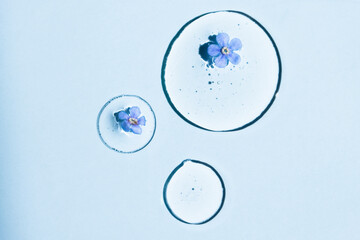 Transparent drops of cosmetic serum on a blue background with plant flowers, top view, copy space.