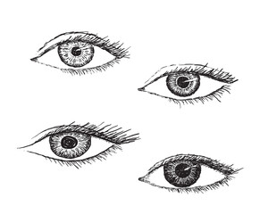 Hand drawn eyes. A collection of different shapes of stylized drawn female eye