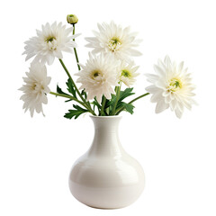 vase with beautiful white flowers, isolated on transparent background