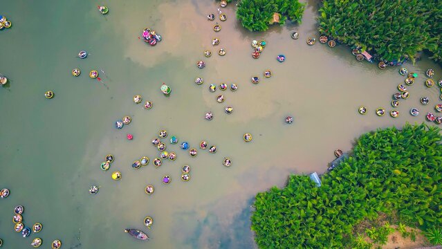 Aerial view, tourists are relax and experiencing a basket boat tour at the coconut water (mangrove palm ) forest in Cam Thanh village, Hoi An,Quang Nam,Vietnam