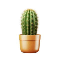 Crédence de cuisine en verre imprimé Cactus cactus png