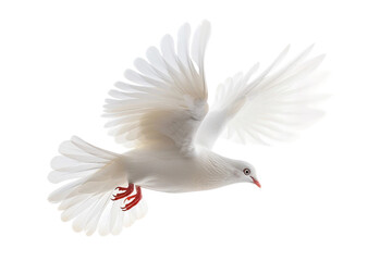 White Bird's Flight on Transparent Background, PNG, Generative Ai