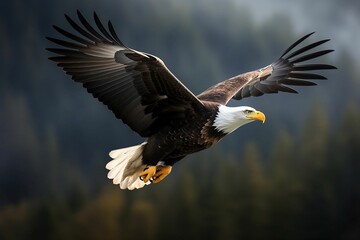 AI generated illustration of A majestic eagle flying high in the sky