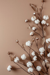 cotton branches on brown background