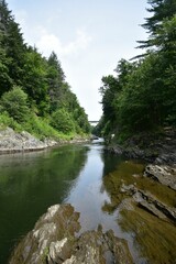 a scenic view of a river surrounded by trees and bushes