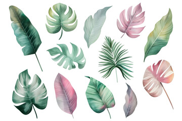 Fototapeta na wymiar Tropical plants watercolor collection isolated on transparent background