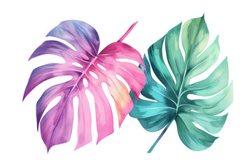 Tropical plants watercolor collection isolated on transparent background