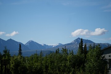 Scenic view of snow-capped mountains towering in the distance beyond a dense forest in Alaska