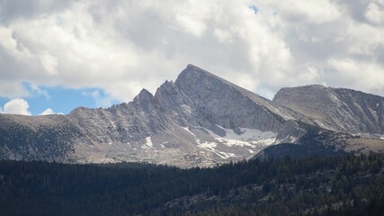 Scenic view of a mountain range covered with pine forests