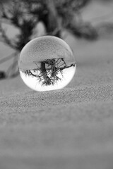 Grayscale of a glass ball resting on sands with blurred trees in background