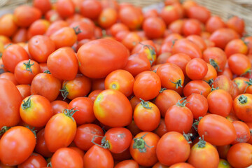 Heaping Pile of Fresh Ripe Tomatoes