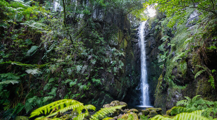 Jungle waterfall in Madeira Portugal.