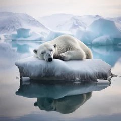 Foto op Plexiglas A young polar bear sleeps on an iceberg. Generative ai. B011 © Sugarpalm