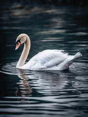AI generated swan floating in lake
