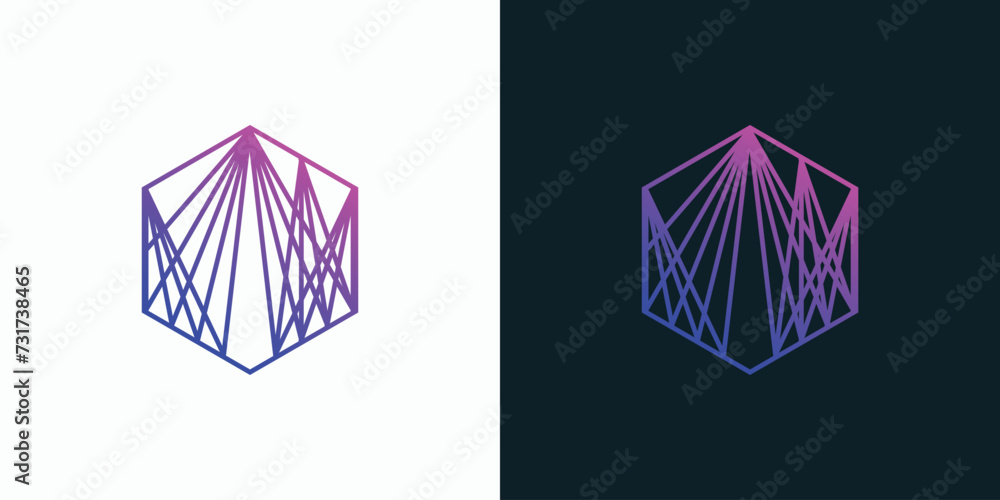 Poster abstract technology polygonal line vector logo design in hexagon shape.