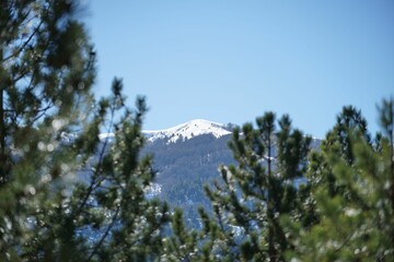 Scenic view of a mountain landscape covered in white snow, visible through frame of evergreen trees