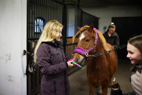 Girls standing with pony in stables