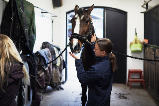 View of girl stroking horse in stables
