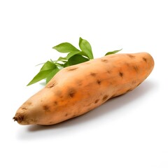 yam isolated vegetables for healthy food