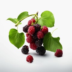 AI generated illustration of a cluster of ripe raspberries and blackberries with green leaves