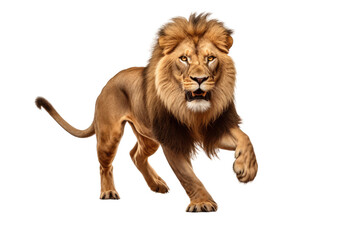 The Strategic Jumps of Lion Isolated On Transparent Background
