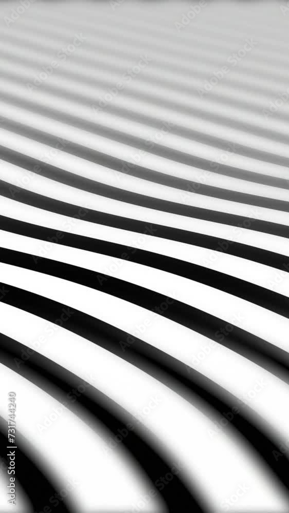 Wall mural black white lines waving like soft cloth. smooth waving abstract lines motion graphics background
