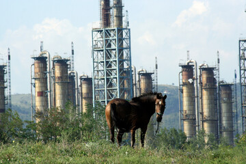 mining industry for resource extraction