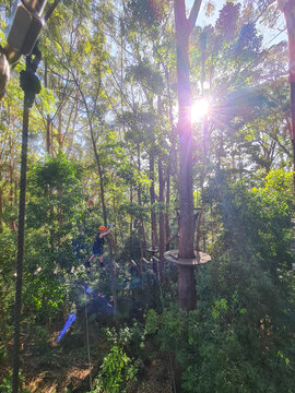 Kids taking part in a treetop climbing adventure challenge