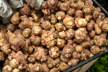 Close-up of a crate of fresh Jerusalem artichokes,