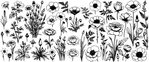 Black silhouettes of grass, flowers and herbs isolated on white background. Hand drawn sketch flowers and insects. - obrazy, fototapety, plakaty