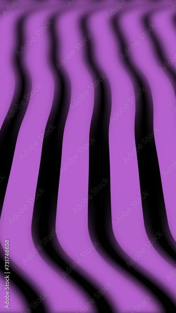 Wall mural purple waving lines waving like soft cloth. smooth waving abstract lines motion graphics background