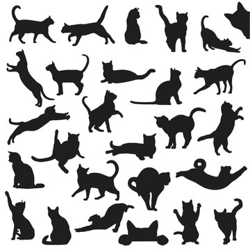 Collection of cats silhouettes vector illustrations, diverse poses, sitting, standing, walking, jumping. Black silhouettes on white background. pet design