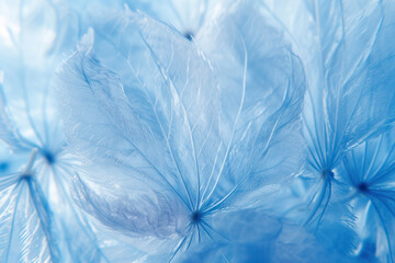 Blue abstract dandelion flower background, extreme closeup.