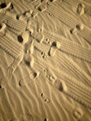 Fototapeta na wymiar footprints on sand, human, animals and car