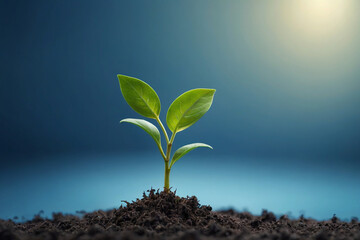 Green young tree sprout on a blue blurred background idea business startup investment success