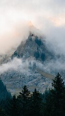 Vertical image of a mountain covered by a layer of wispy clouds, creating a peaceful atmosphere