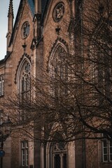 Obraz premium Tree branches with small buds against an old building