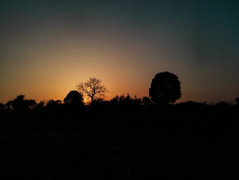 Beautiful sunrise over a tranquil grassy landscape with trees silhouetted against